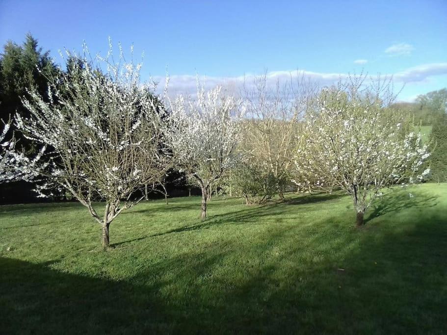 Vila Dependance Pour 1 A 4 Pers Au Calme Dans Propriete Marboz Exteriér fotografie