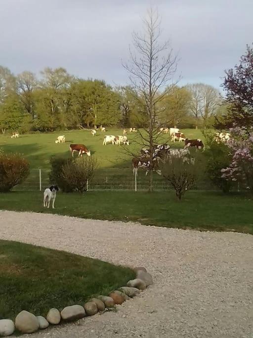 Vila Dependance Pour 1 A 4 Pers Au Calme Dans Propriete Marboz Exteriér fotografie